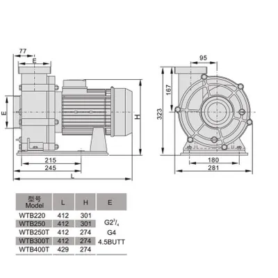 Pool Pump WTB 250T 3.0HP/380V